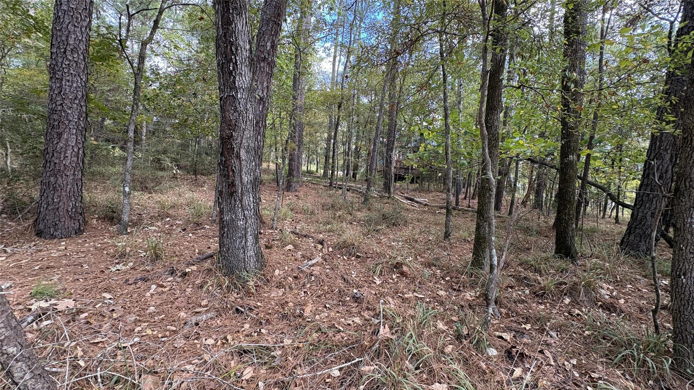 Image 2: This wooded lot is ready for your dream home!