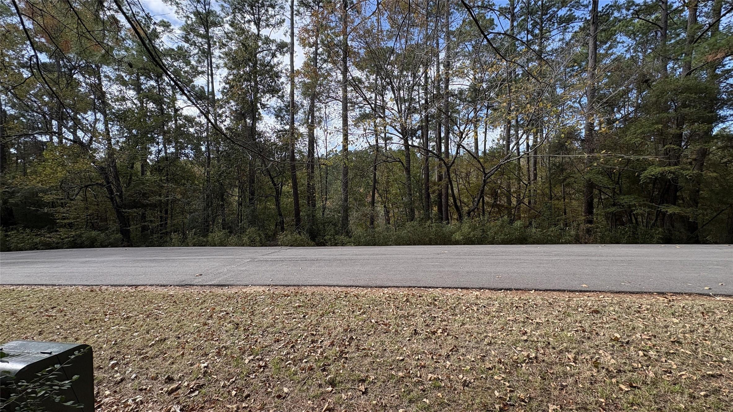 Image 3: View across the street from the lot.