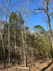 TBD Whispering Pines