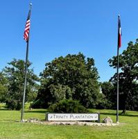 0 Hermitage Street