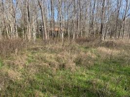 TBD 9596 Briarglen Lane
