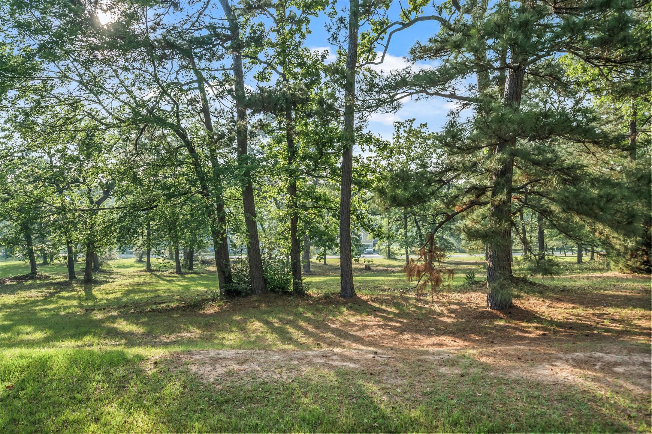 Image 2: Large enough to build a estate sized home
