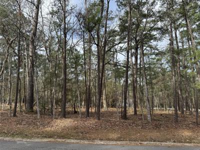 91 S Fairway Loop
