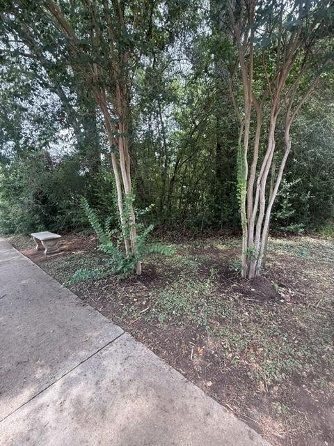 Image 4: Front of the lot