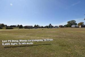 Lot 75 Deep Woods Lane