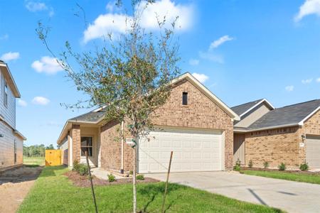 511 Emerald Thicket Lane