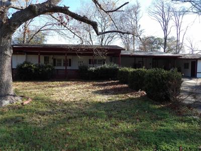 294 Plum Tree