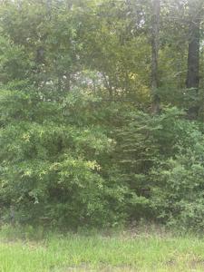 TBD Knottypine