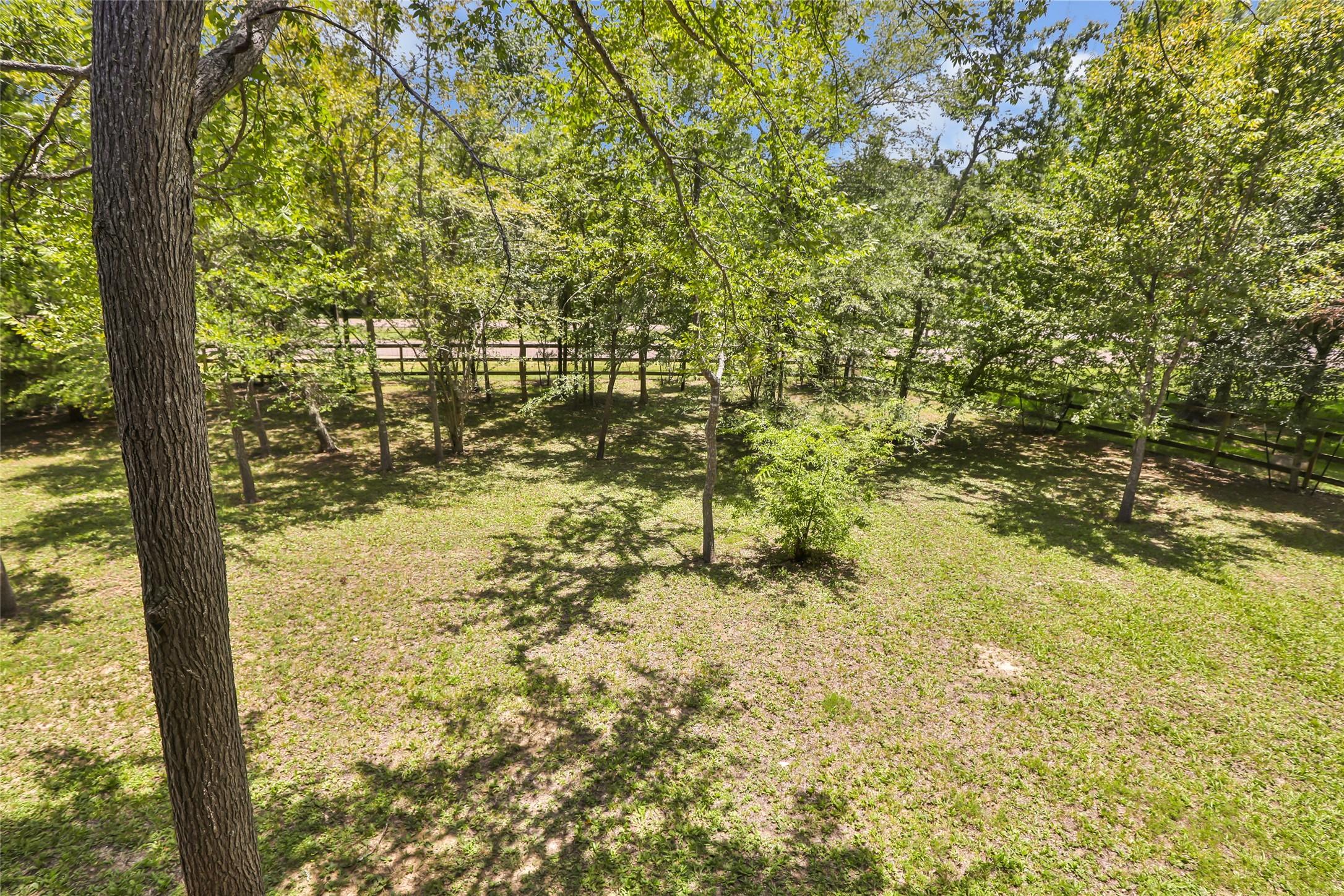 Image 3: Fully fenced back yard - ample space for kids and