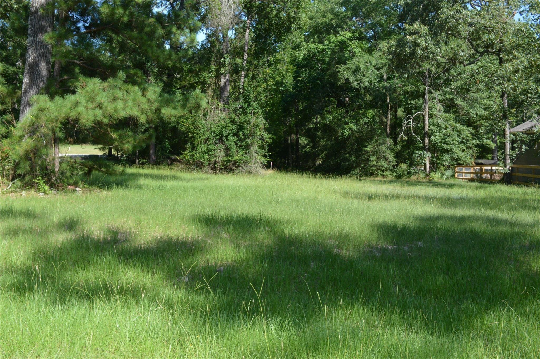 Image 2: This photo showcases a serene, grassy lot surround