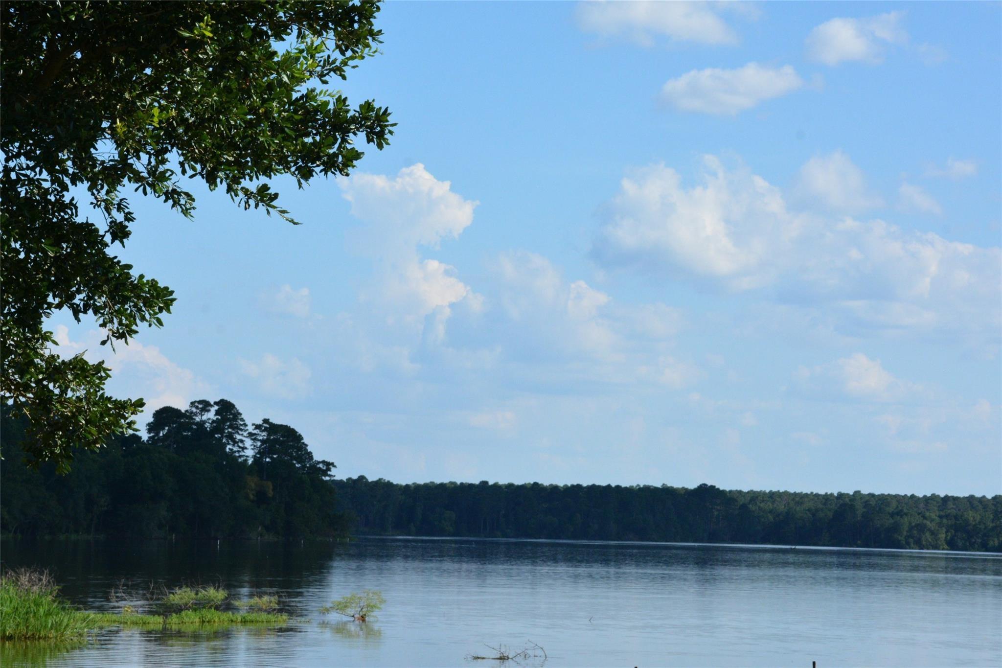 Image 4: This community offer a serene lakeside view with l