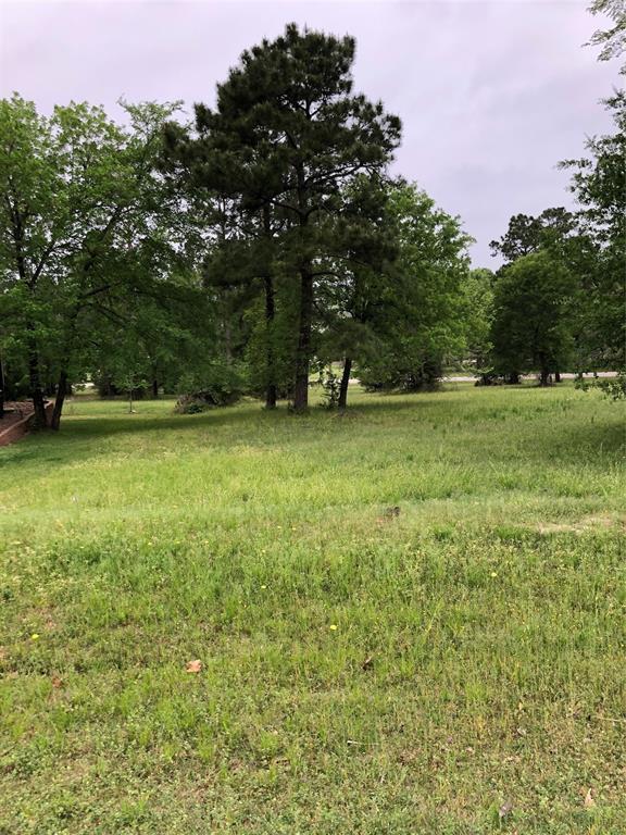 46 Hillsborough Drive, Huntsville, TX lhrmls01401534