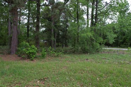 681 Plum Tree