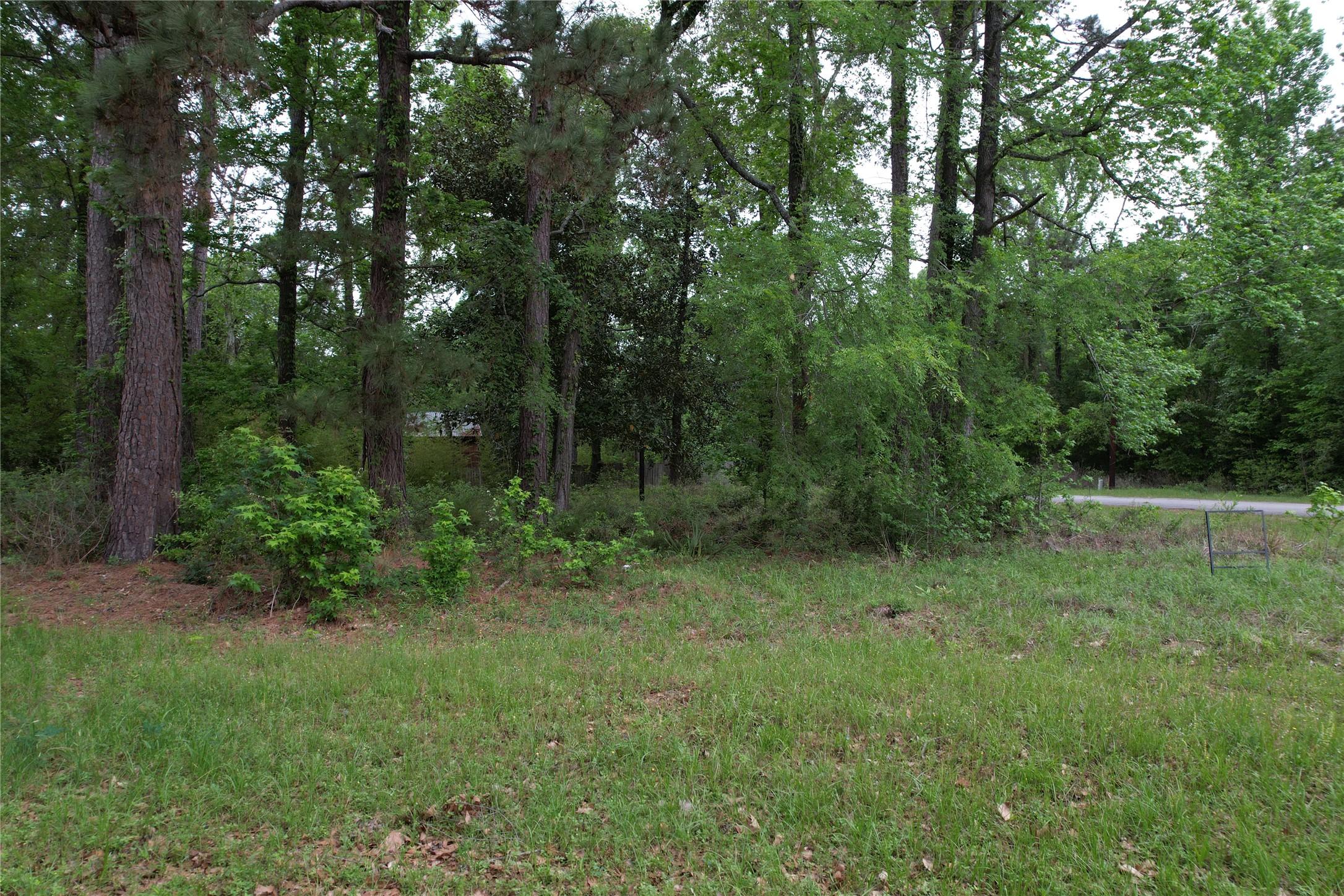 Image 1: View of lots from Curry St