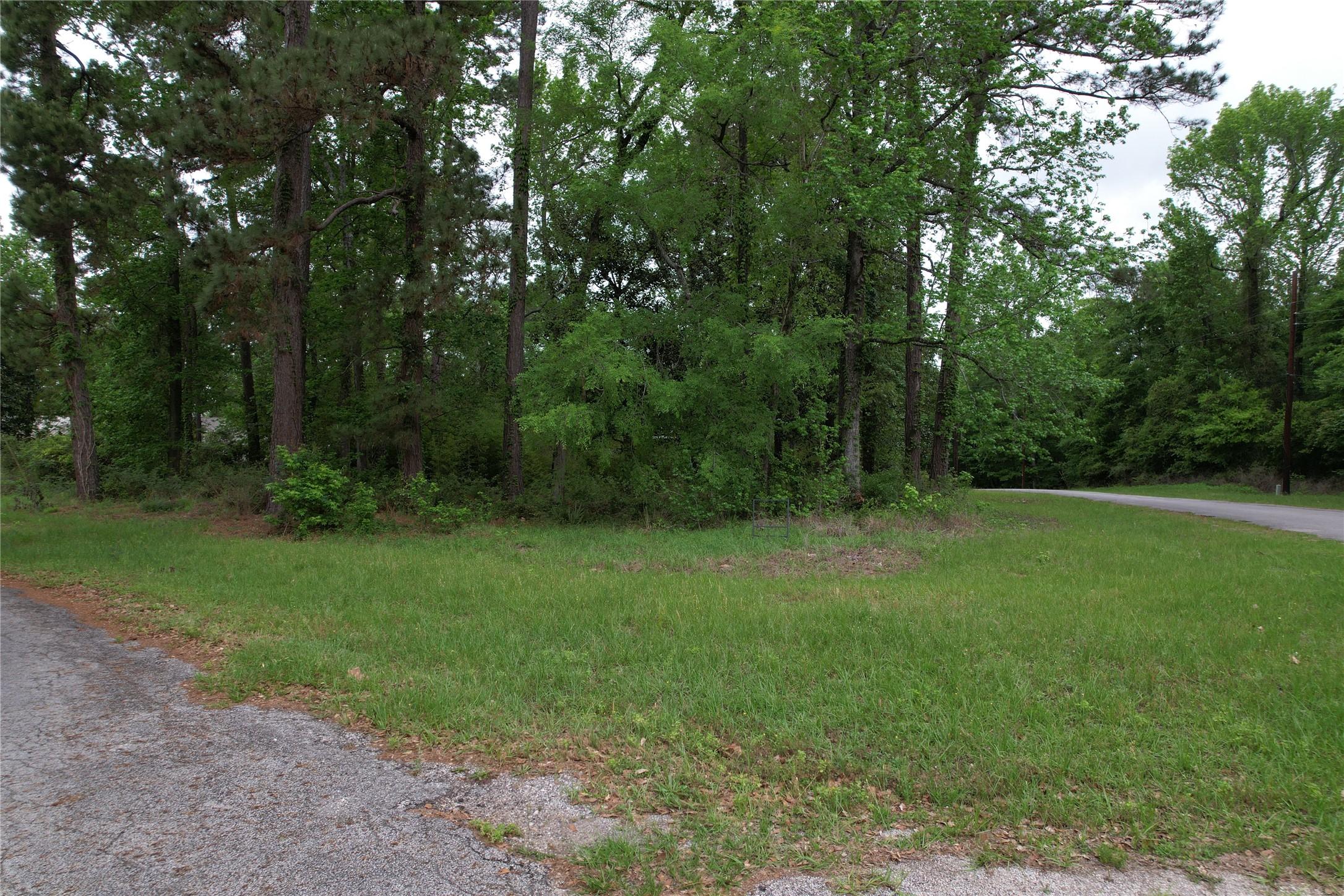 Image 2: Corner Lots located on Curry St and Plum Tree