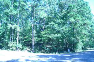 TBD Forest Hills Lot 11