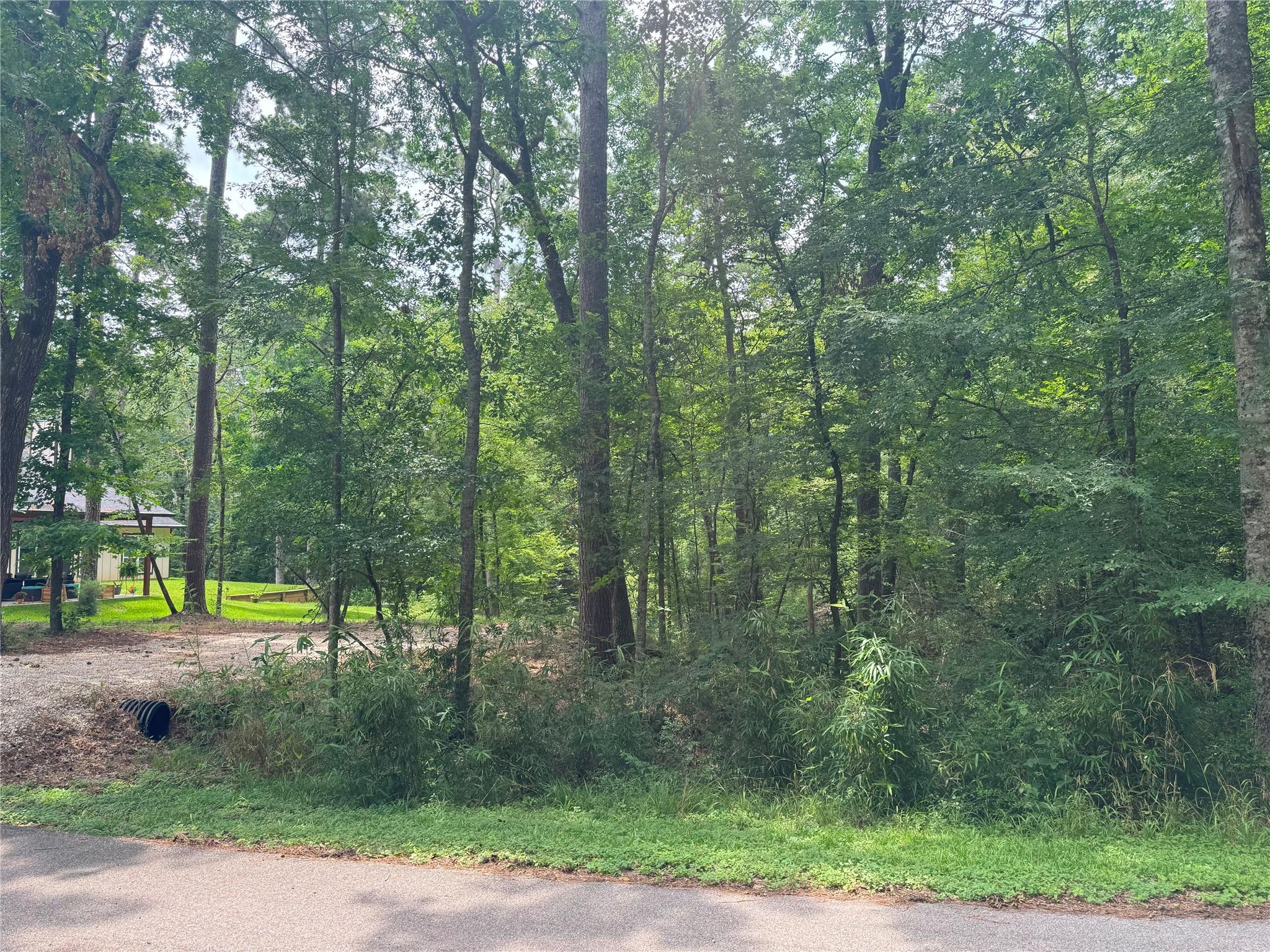 Image 4: Partially wooded