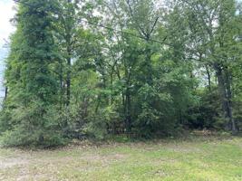46 Greenway Drive