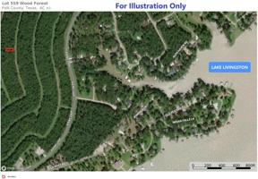 Lot 559 Wood Forest