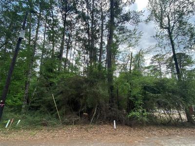TBD10 Hollow Forrest