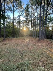 26 Pine Hollow Cove