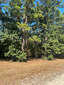 575859 Grand Pine Circle