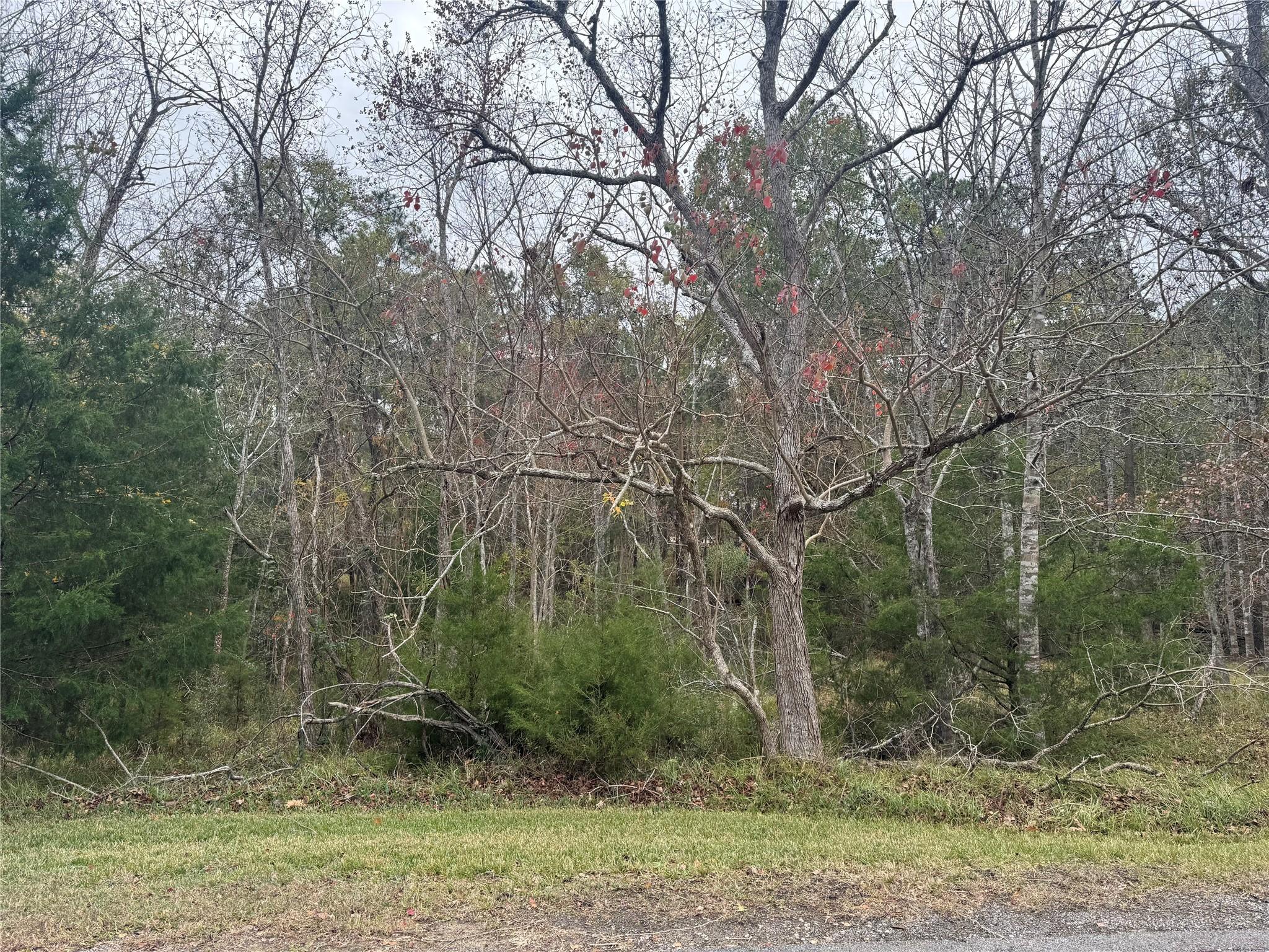 Image 1: Welcome to S Forest Cove Loop in Cape Royale!
