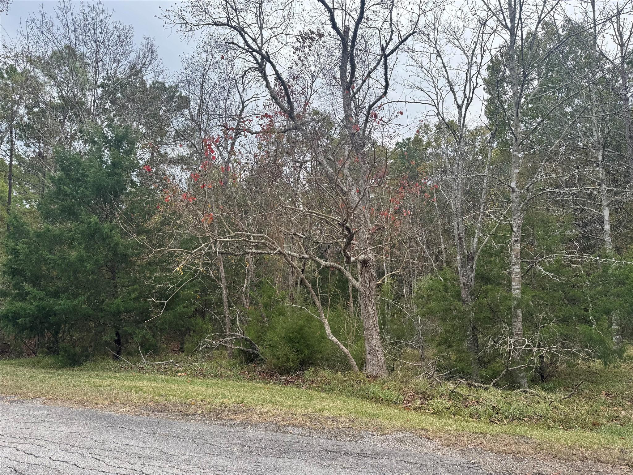 Image 2: This lot is 0.16 acres