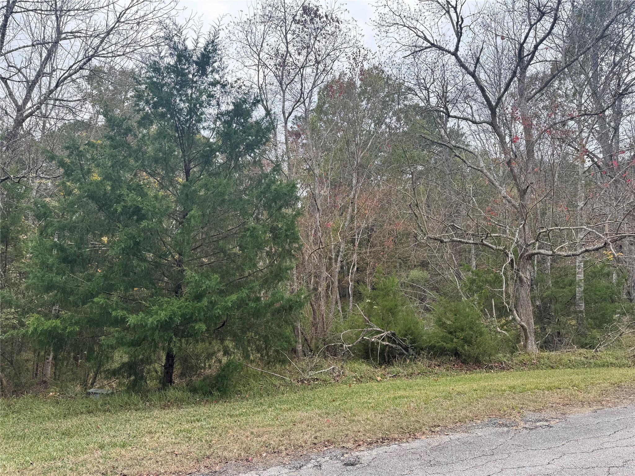 Image 3: Located in the section of Forest Cove