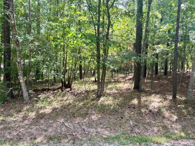 86 S Fairway Loop