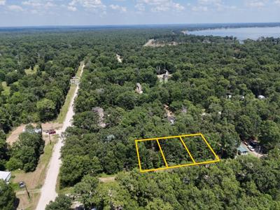 Lots 265-267 Knottypine