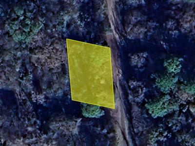 000 Oak Tree Road