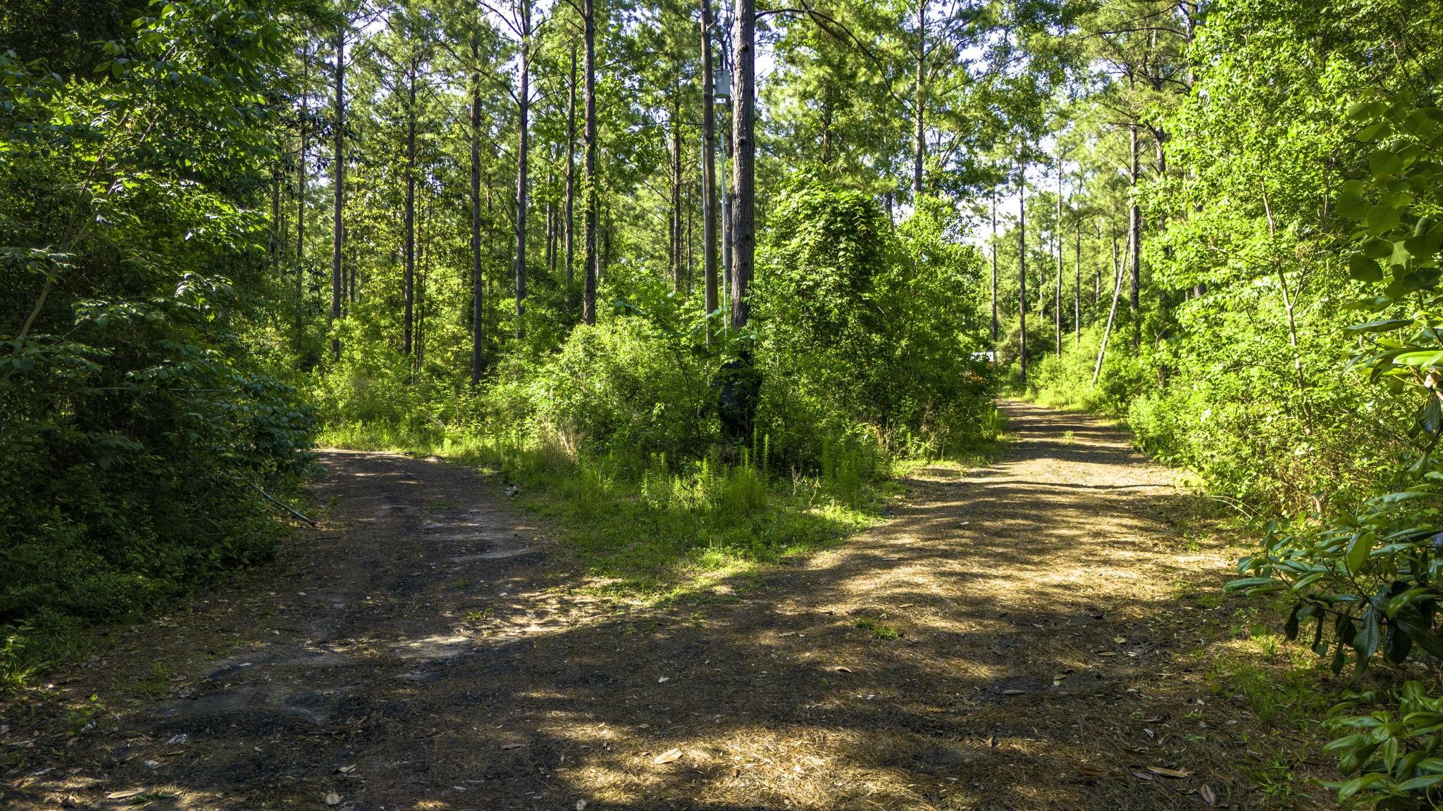 Image 4: Private road access cleared and maintained to both