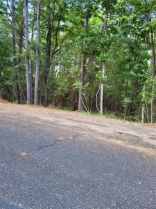 00 Pine Valley
