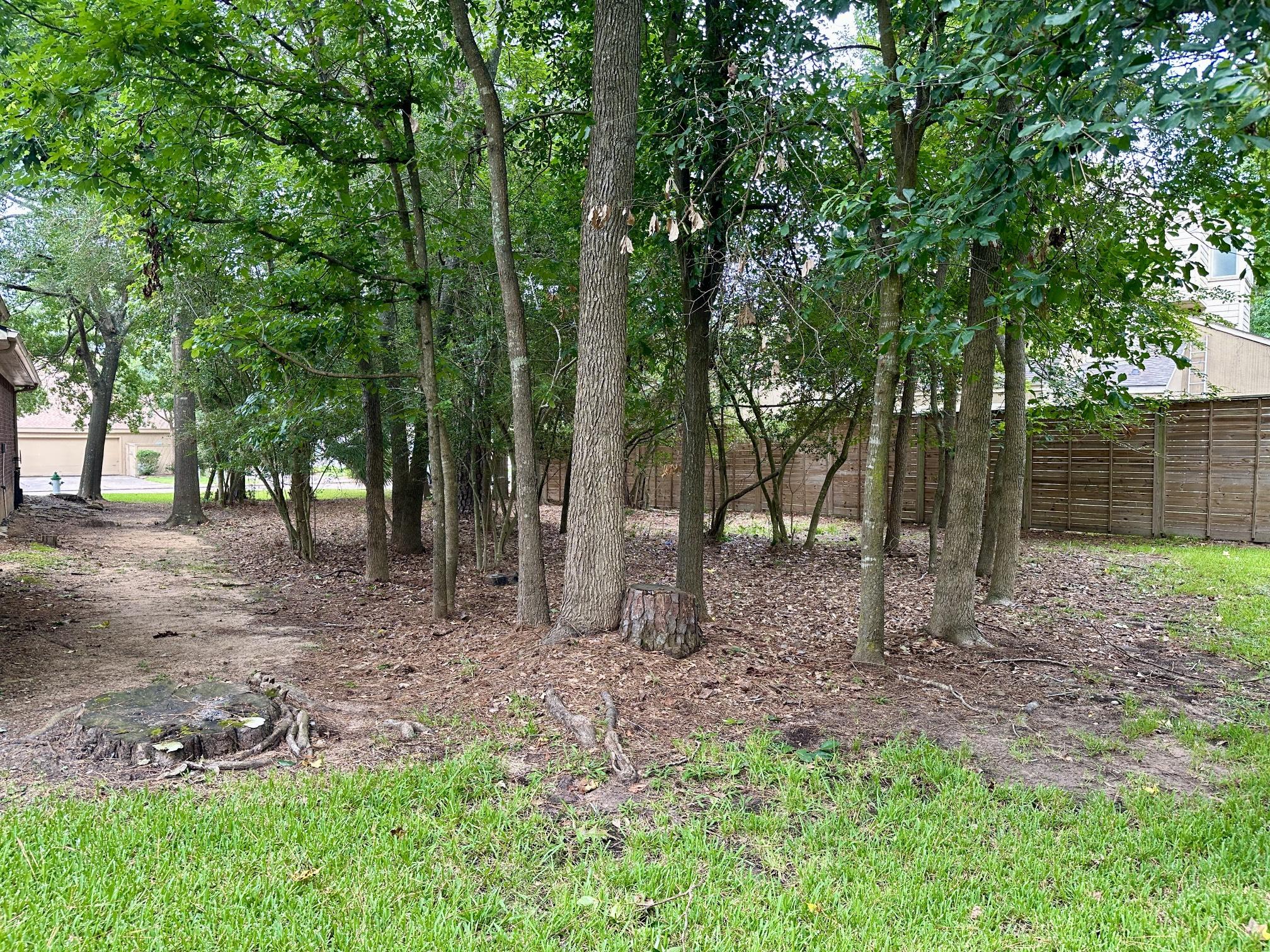 Image 3: View from the back