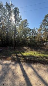 0 BRACKENRIDGE LIVINGSTON, TX 77351