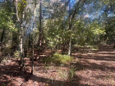 TBD Arrowhead Trail