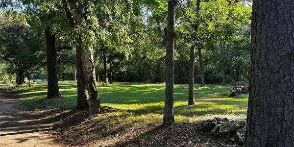 Image 3: This land is quietly, deeply beautiful  - East Tex