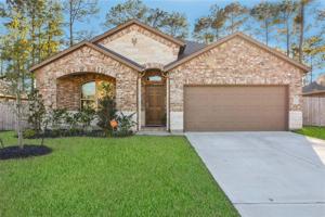 18119 Humber River Lane