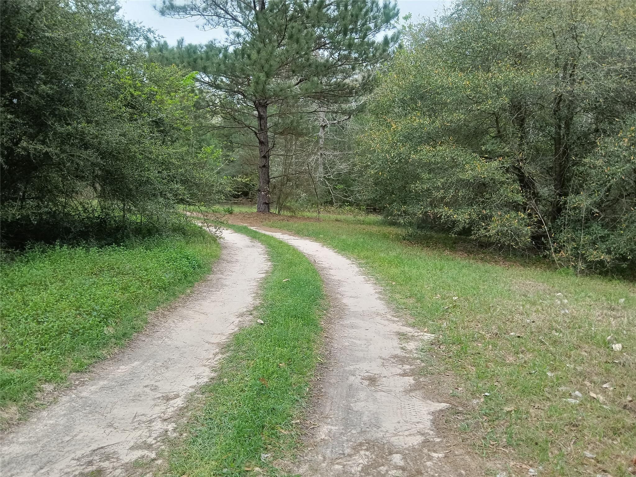 Image 1: Ready to build on.