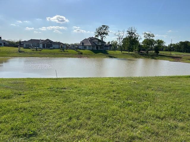 Image 3: View of pond from rear of lot