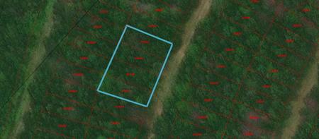 Lots 538, 539, 540 & 541 Wood Forest