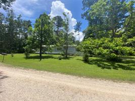 217 Fitzgerald Lane