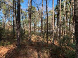 037 Lakeway Drive