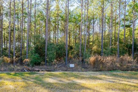 15357 Forest Grove Dr