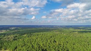 47 Acres Randall Rd