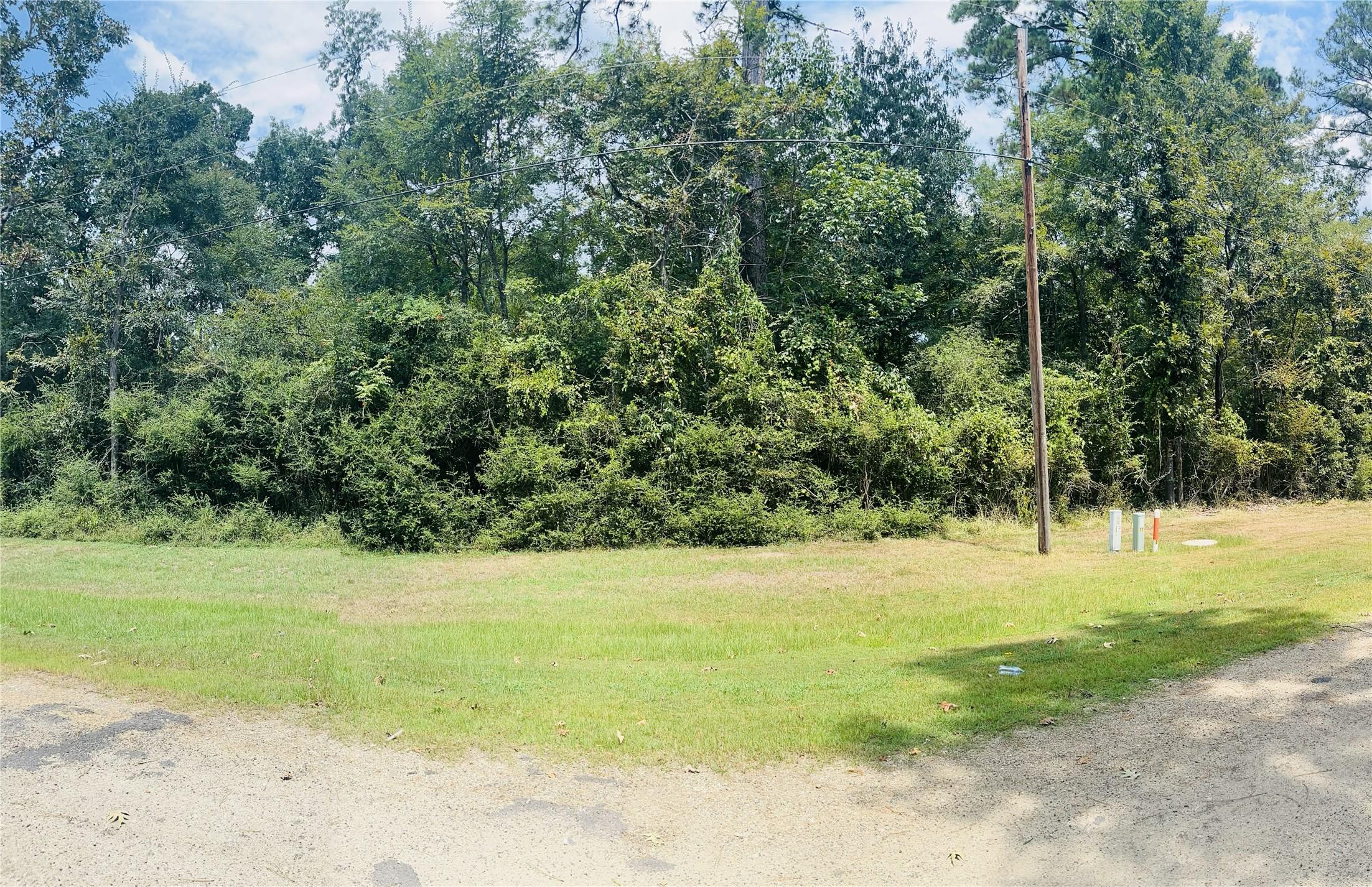 Image 2: Ideal homesite location near Lake Livingston with