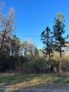 TBD 45 N Village Cove Loop
