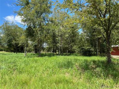 00 Cedar Lane