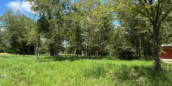 00 Cedar Lane